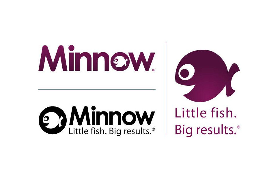 A white background with 3 variations of a simple logo of a fixh and text 'minnow'